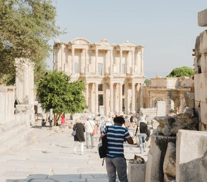 55887615_1504770449659181_7305287363842801664_n